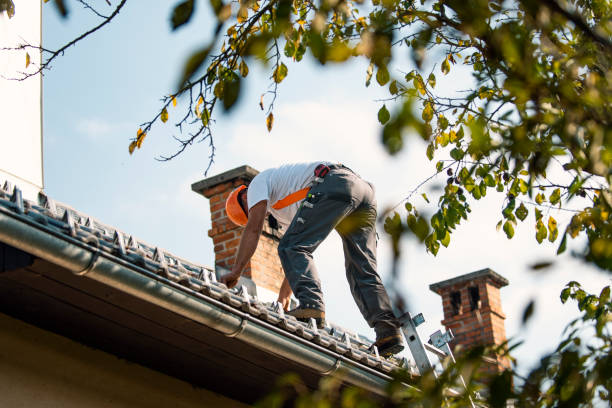 Best Flat Roof Repair Services  in Fairfax, SC
